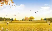 家乡的秋天_350字