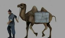 骆驼的故事_1000字