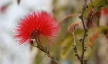 《命运交响曲》听后感_550字