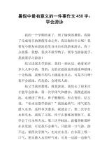 暑假里的一件事_450字