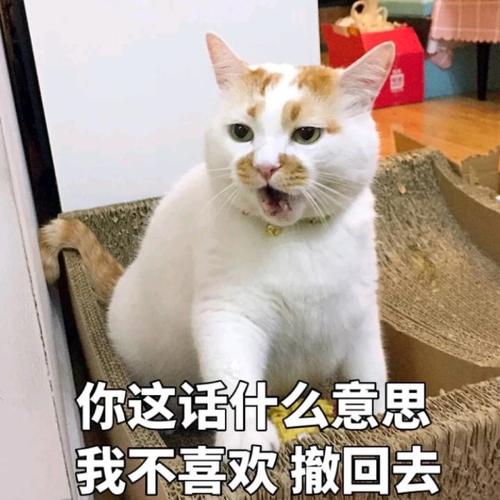 我讨厌两只动物_1000字