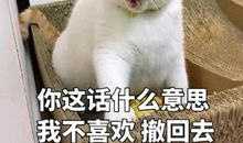 我讨厌的两种动物_1000字