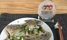 我家的小白_450字