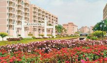 校园的一处美景_550字