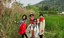 [寒假PK赛]冬日里的一缕阳光_250字