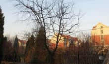 一棵枣树_1200字