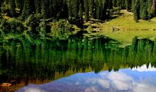 仙女湖游记_600字