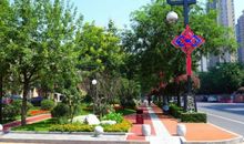 我们小区的花坛_300字