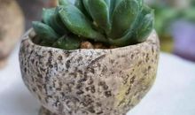 [寒假PK赛]其实我知道_700字