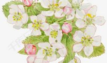 [寒假PK赛]暖风拂过花丛_650字