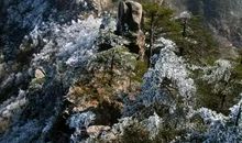 冬日黄山美景_600字