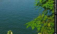 醍桂林山水_50字