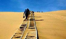 成与败，输与赢_400字