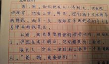 我的愿望_400字