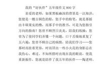 我的好伙伴_800字