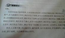 关于运动会的作文：我爱运动_250字