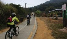 秋游活动之骑车_450字