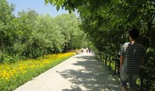 秋游江洋畈公园_900字