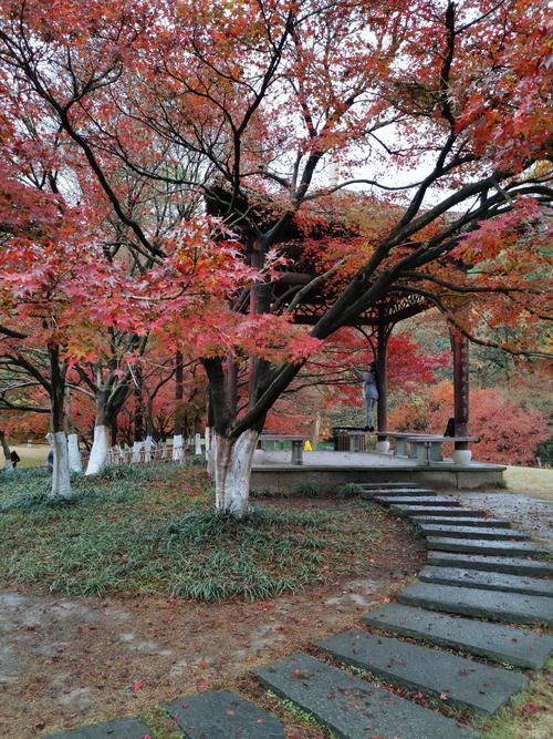 秋季旅游王子海湾公园_550字