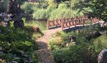 秋游须江公园_500字