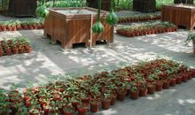 秋游蜂儿山庄_700字