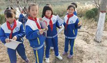 记一次有趣的秋游_550字