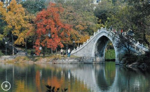 白黄轩秋季旅游_550字