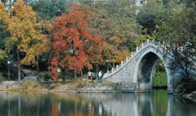 百花苑秋游_550字