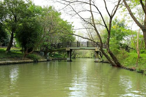 秋季之旅西溪湿地_600字