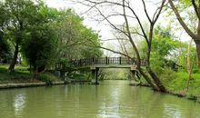 秋游西溪湿地_600字