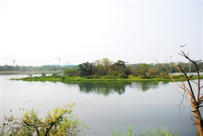 秋季之旅华侨城湿地_400字