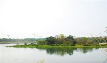 秋游华侨城湿地_400字