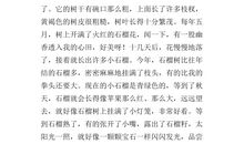 高三状物作文：我爱石榴_900字