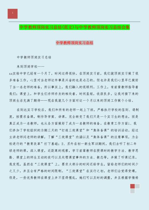 中学教师实习摘要