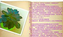 种子是个魔法师_50字