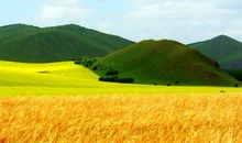 [2012暑期征文]内蒙风光无限好_650字