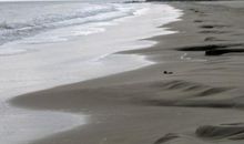 [2012暑期征文]读《沙与沫》_1500字