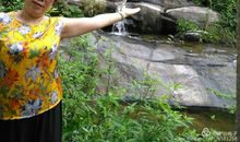 陶醉青山绿水_50字