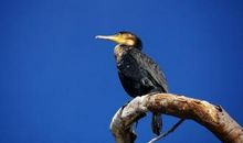 四季之感_1000字