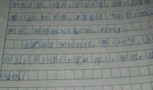 雾里寻花（一）_450字