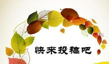 比赛_50字