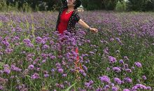 舞动的黄纱巾_2000字