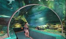 游海洋博物馆记_150字