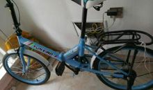 我的新自行车_100字