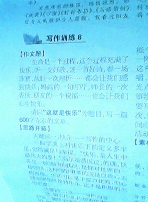 [2012年夏季论文]令人难忘的夏天Tour_600字