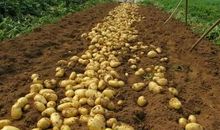 [2012暑期征文]淳朴乡音，永恒感动_1000字