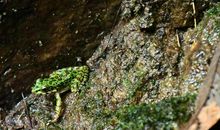 [2012暑期征文]“山水”中的暑假_1200字