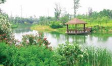 美丽的张家港_450字