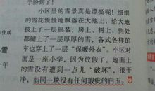 童年的发现_250字