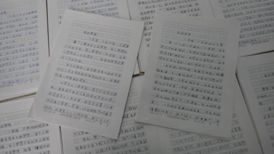 [2013年夏季论文]我浅灰色的夏天_900字